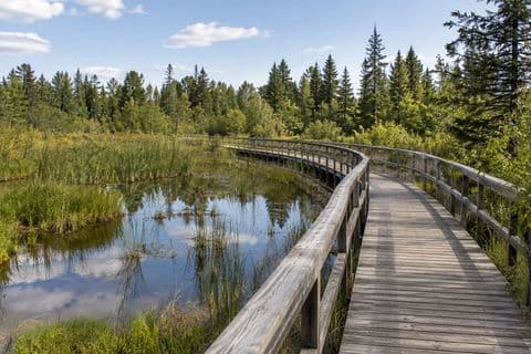Gaetz lakes sanctuary — Calgary → Red Deer.