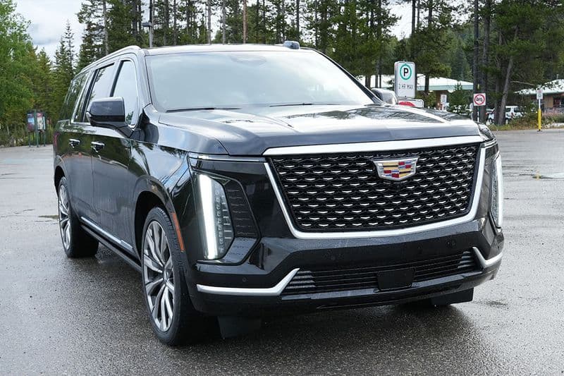 The front of the Cadillac Escalade Platinum close up, mesh grille and vertical LED lamps, pine forest behind.